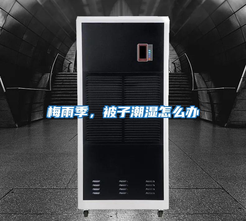 梅雨季,被子潮濕怎么辦